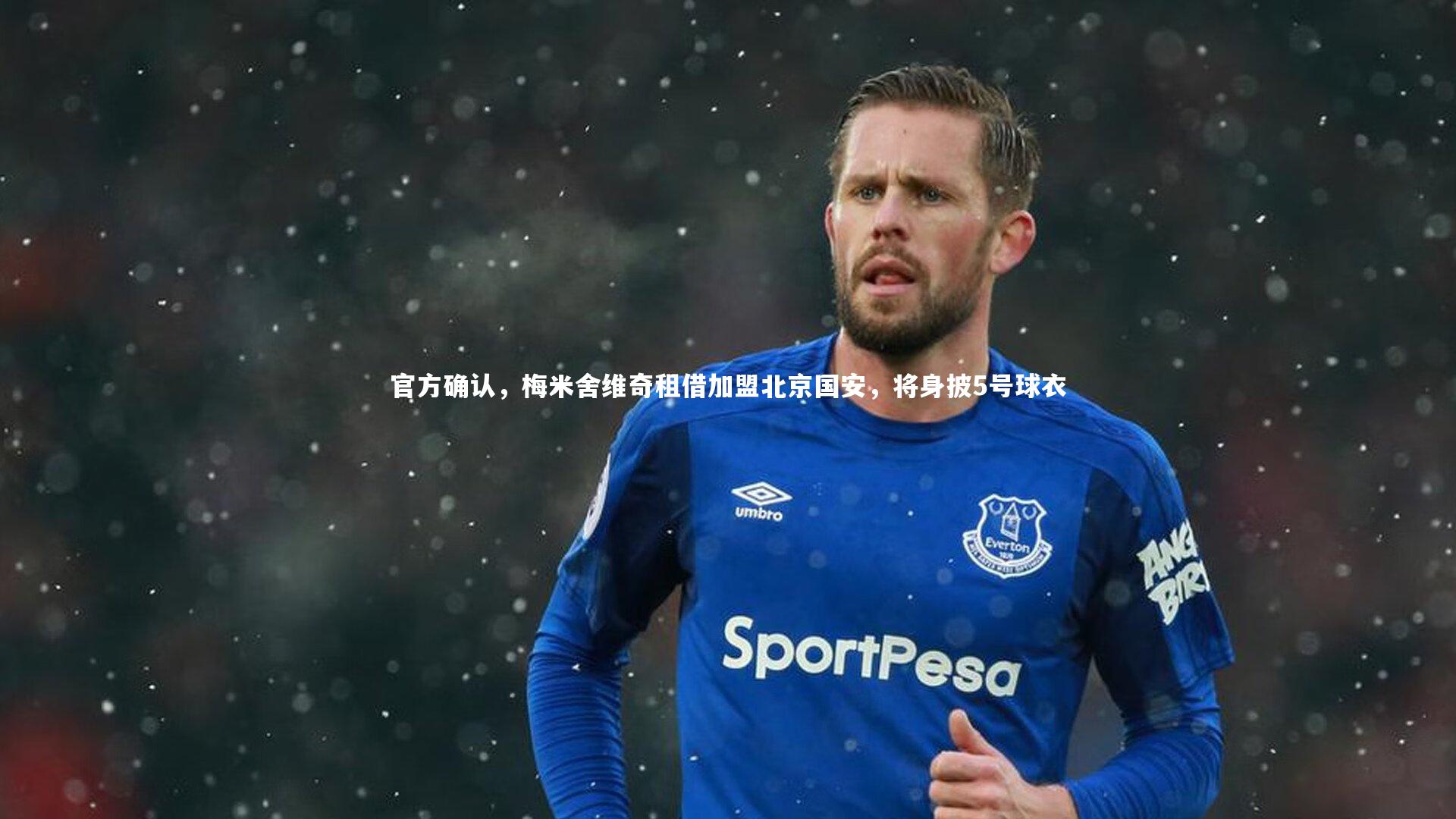 BT体育官网_官方确认，梅米舍维奇租借加盟北京国安，将身披5号球衣